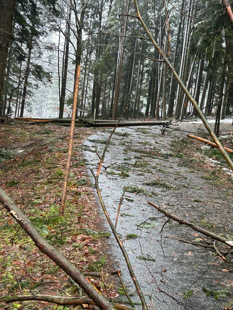 WhatsApp Image 2023-12-23 at 10.14.58