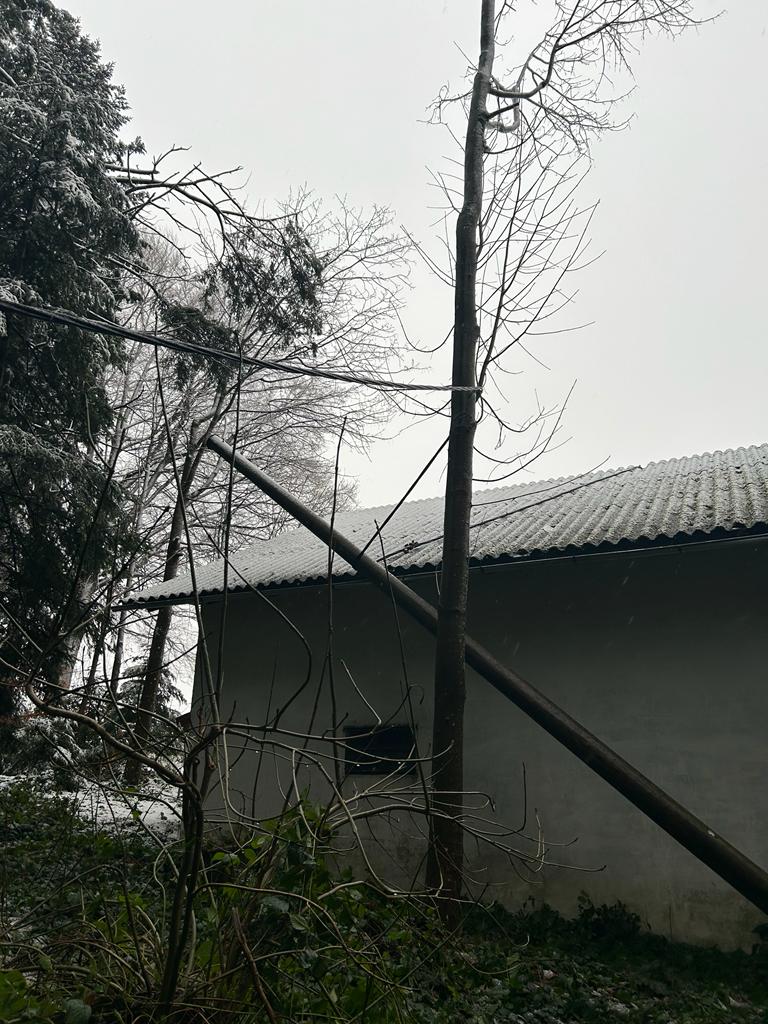 WhatsApp Image 2023-12-23 at 10.15.02