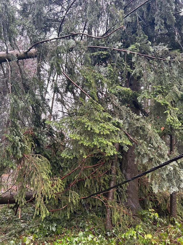 WhatsApp Image 2023-12-23 at 10.15.04