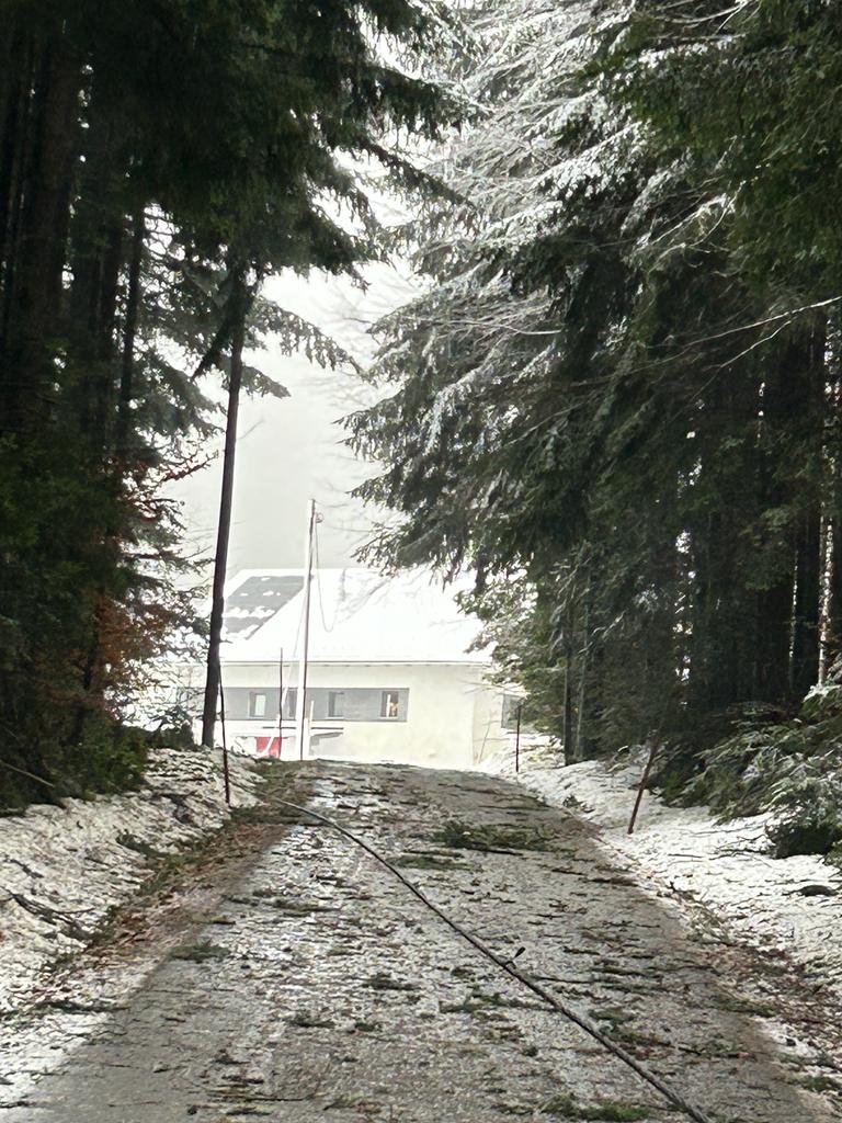 WhatsApp Image 2023-12-23 at 10.15.05 (1)