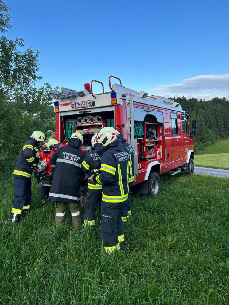 WhatsApp Bild 2025-05-24 um 10.07.06_1d9079ad