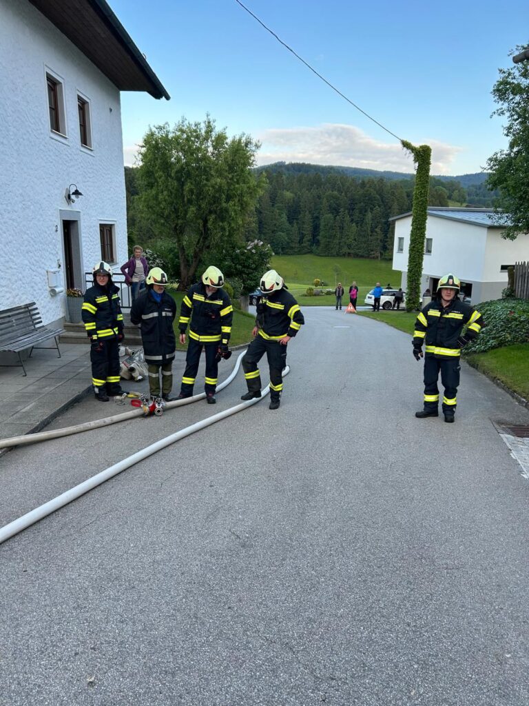 WhatsApp Bild 2025-05-24 um 10.07.06_f3c0c6ec