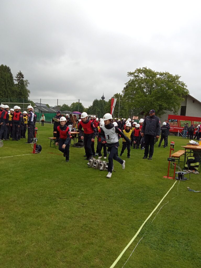 WhatsApp Bild 2025-05-25 um 13.03.08_ba0e1f96